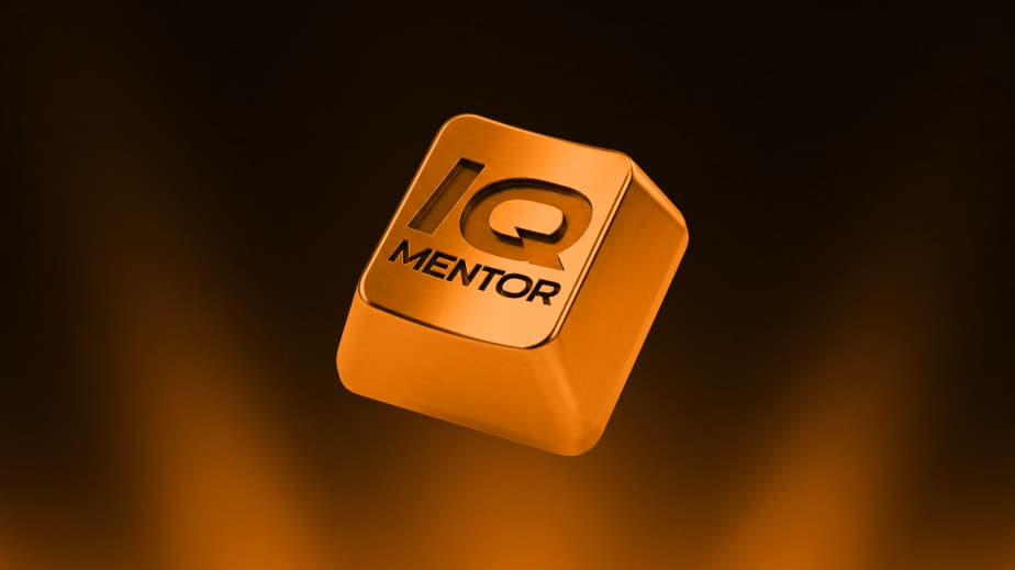 IQ MENTOR 1.3: история клиента и ключевые категории